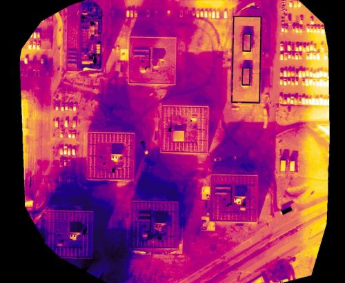 survey_image8 survey_image8